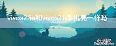 vivox21ia和vivox21i手机壳一样吗