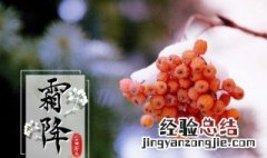 霜降节气必吃的十种食物 霜降节气必吃的十种食物是什么