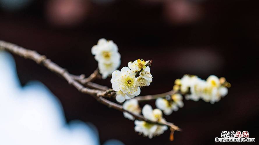 人闲桂花落的闲字好在哪里