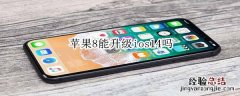 苹果8能升级ios14吗