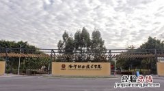 高职院校是大学吗