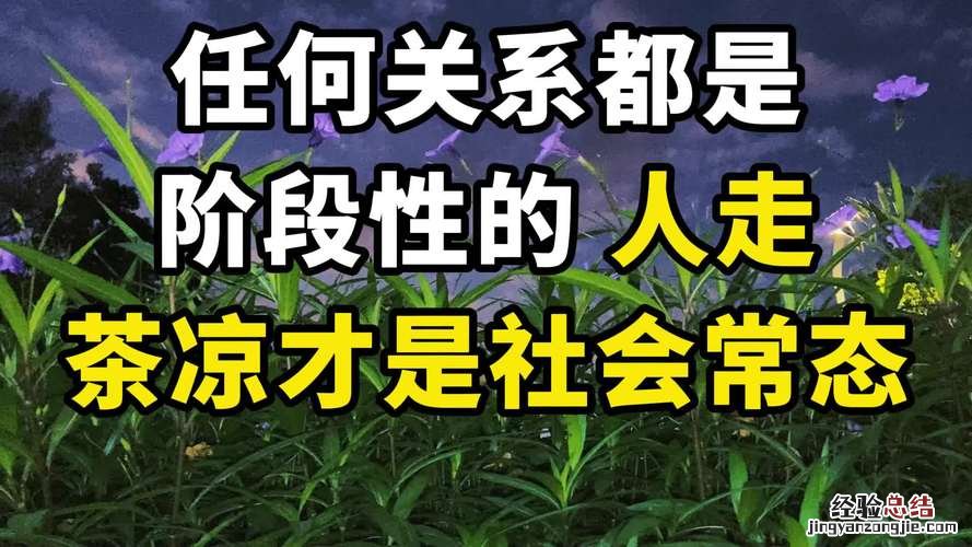 什么是社会有哪些构成因素