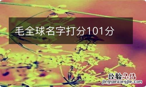 毛全球名字打分101分