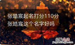 张皓宸起名打分110分 张皓宸这个名字好吗