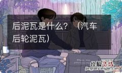 汽车后轮泥瓦 后泥瓦是什么？