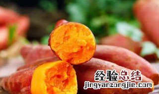 红薯怎么养成盆栽要用什么水 番薯盆栽种植方法水养