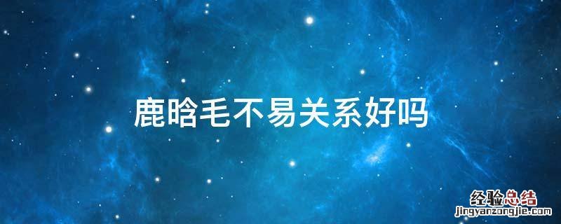 鹿晗毛不易关系好吗