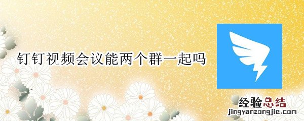 钉钉视频会议能两个群一起吗