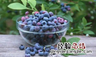 蓝莓鲜果如何保存呢 蓝莓果怎样保存