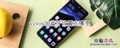 vivox30蓝牙设置在哪里