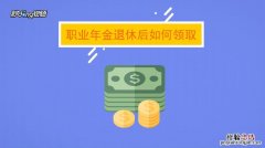 职业年金是什么东西