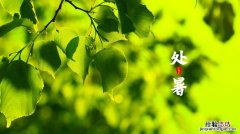 处暑是什么意思24节气介绍