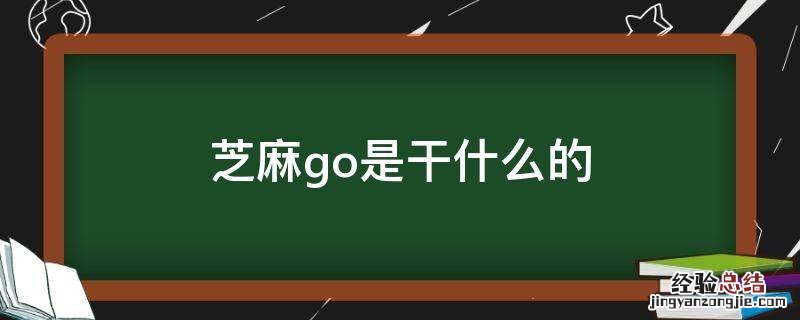 芝麻go是干什么的