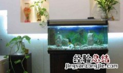 店铺风水鱼缸摆放位置 店铺风水鱼缸摆放位置图片