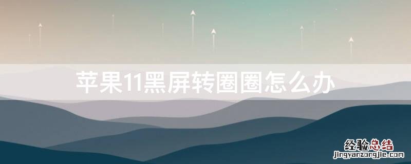 iPhone11黑屏转圈圈怎么办