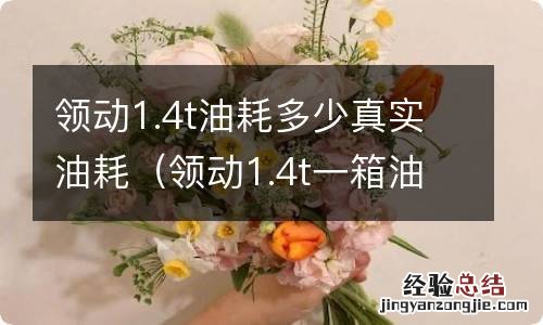 领动1.4t一箱油跑多少公里 领动1.4t油耗多少真实油耗