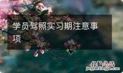 学员驾照实习期注意事项