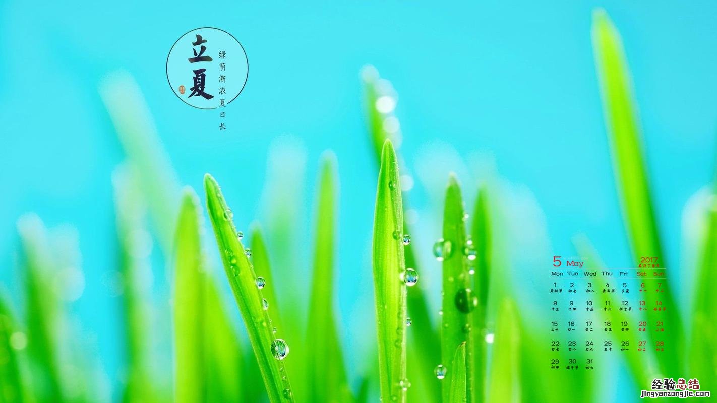 立夏是几月几号
