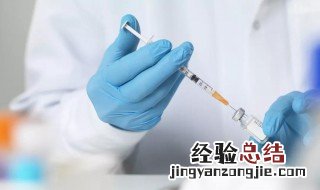 狂犬育苗什么时候注射 犬狂犬疫苗什么时候打