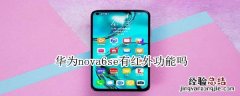 华为nova6se有红外功能吗