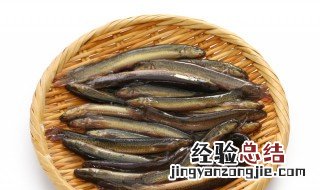 泥鳅煮多久杀死寄生虫子 泥鳅煮多久杀死寄生虫