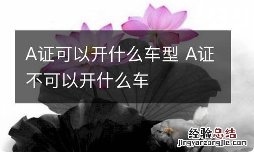 A证可以开什么车型 A证不可以开什么车