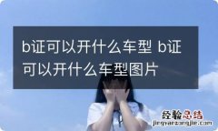 b证可以开什么车型 b证可以开什么车型图片