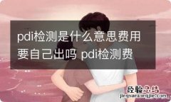 pdi检测是什么意思费用要自己出吗 pdi检测费用4s敢收?