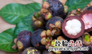 山竹是哪里产的中国 山竹是哪里产的