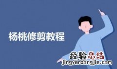 杨桃修剪教程 杨桃修剪的方法介绍