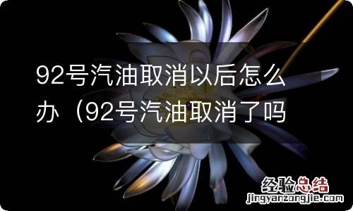 92号汽油取消了吗 92号汽油取消以后怎么办