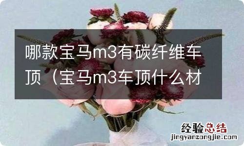 宝马m3车顶什么材料 哪款宝马m3有碳纤维车顶