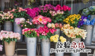 什么花的花语是思念 什么花的花语是思念亲人