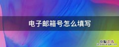 电子邮箱号怎么填写