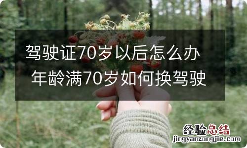 驾驶证70岁以后怎么办 年龄满70岁如何换驾驶证