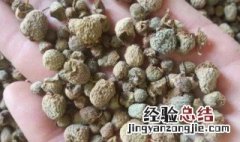 覆盆子是干的好还是新鲜的好呢 覆盆子是干的好还是新鲜的好