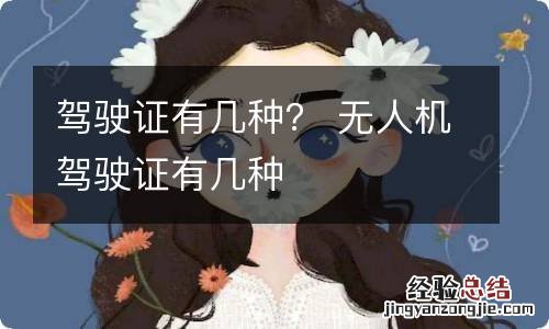 驾驶证有几种? 无人机驾驶证有几种