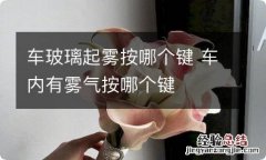 车玻璃起雾按哪个键 车内有雾气按哪个键