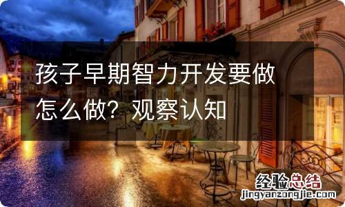 孩子早期智力开发要做怎么做？观察认知
