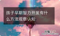 孩子早期智力开发有什么方法观察认知