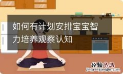 如何有计划安排宝宝智力培养观察认知