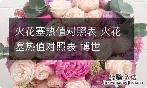 火花塞热值对照表 火花塞热值对照表 博世