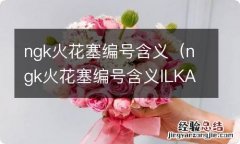 ngk火花塞编号含义ILKAR7B11 ngk火花塞编号含义