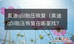 奥迪q5l胎压恢复在哪里找? 奥迪q5l胎压恢复