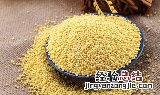 大黄米煮粥要提前泡吗 大黄米煮粥要提前泡吗多久