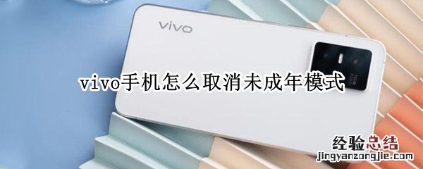 vivo手机怎么取消未成年模式