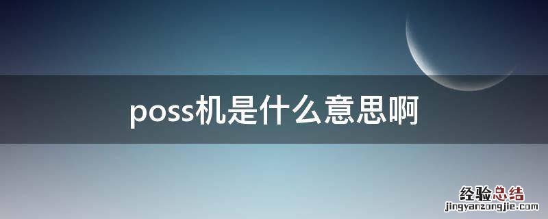 poss机是什么意思啊