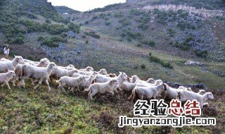 表达旅途心情短语 旅途的风景太美了