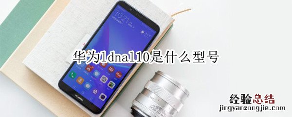 华为ldnal10是什么型号