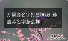 孙景淼名字打分96分 孙鑫淼名字怎么样